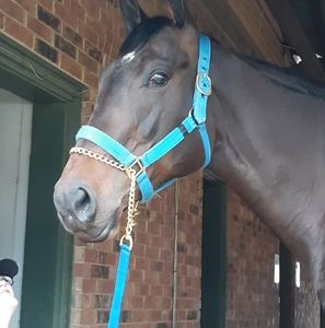 Meet your Posher, Ronna